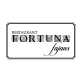 fortuna fajans logo