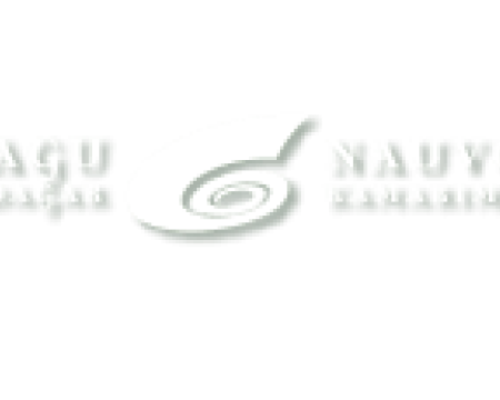 Nauvo-kammar-musik-dagar_logo-copy