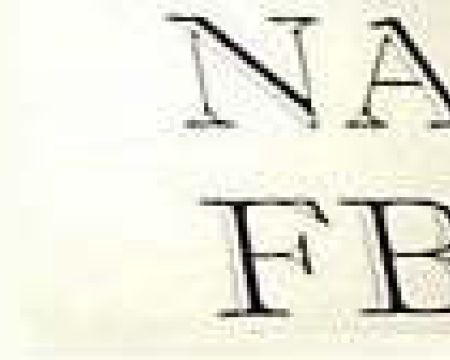 Nagu-fbk-logo