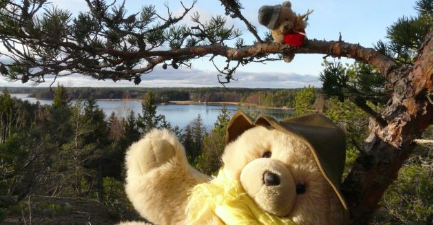 Nagu tjanstekatalog logo