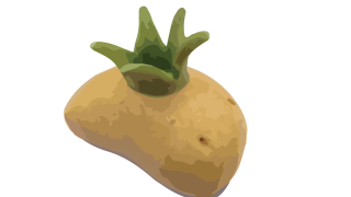 Nagu_potatisfestivalen_De_Vita_Päron