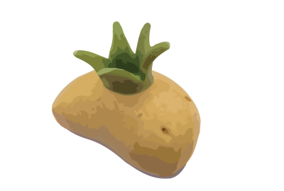 Nagu_potatisfestivalen_De_Vita_Päron