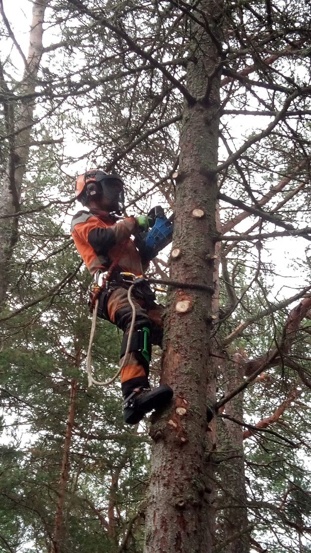 Nagu tjanstekatalog logo